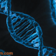 پیش‌بینی طول عمر با بررسی DNA|گروه بازرگانی زینک تیم